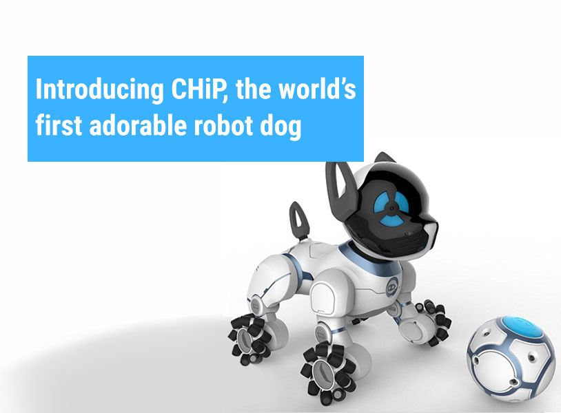 Introducing CHiP, the world’s first adorable robot dog